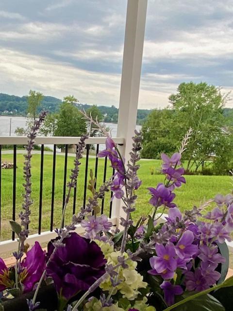 Апартаменты Gray'S Manor - Lake Memphremagog Newport Экстерьер фото